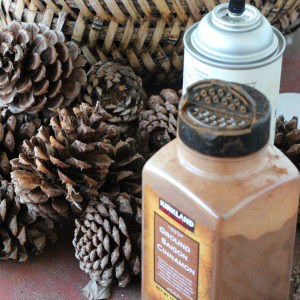 DIY Cinnamon Scented Pine Cones