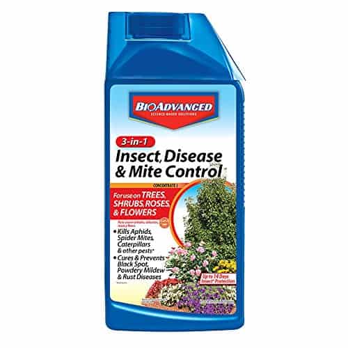BioAdvanced 701285B 3-in-1 Insect Disease & Mite Control Concentrate, 32 oz, White