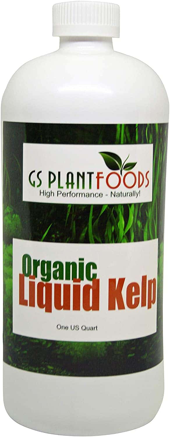 JLiquid Kelp Extract Seaweed 32 Ounce Fertilizer Concentrate