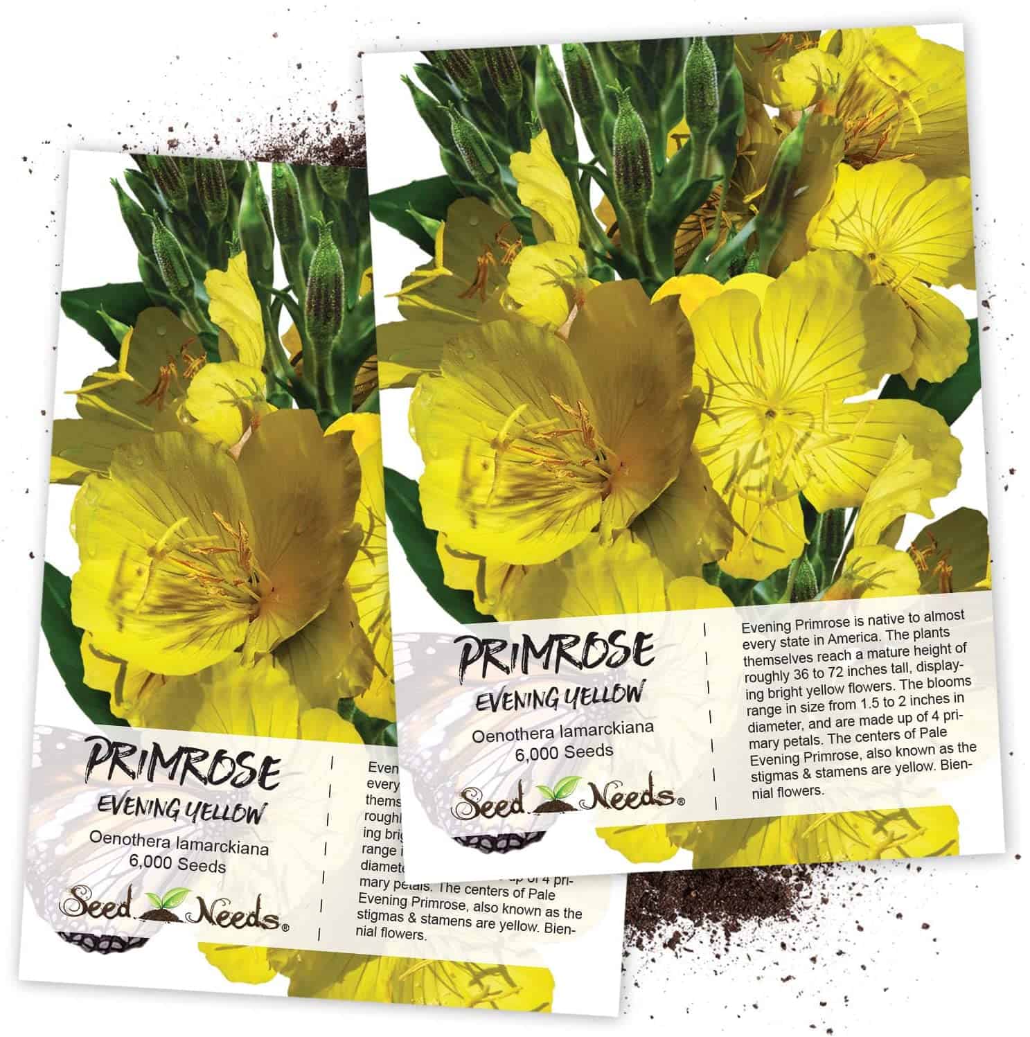 Evening Primrose (Oenothera lamarckiana) Twin Pack of 6,000 Seeds Each