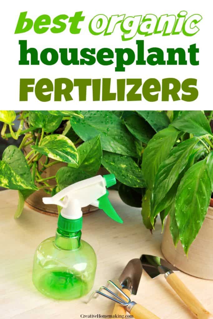 Best Organic Houseplant Fertilizers Creative Homemaking