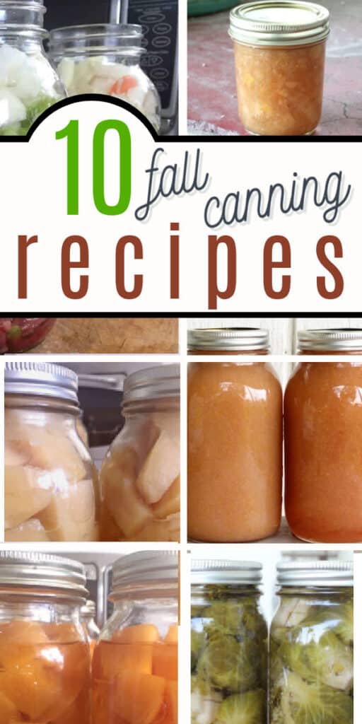 The 10 best fall canning recipes! Pear sauce, plum sauce, ginger pear jam, crock pot apple butter, and more! My favorite tips for canning fall vegetables.