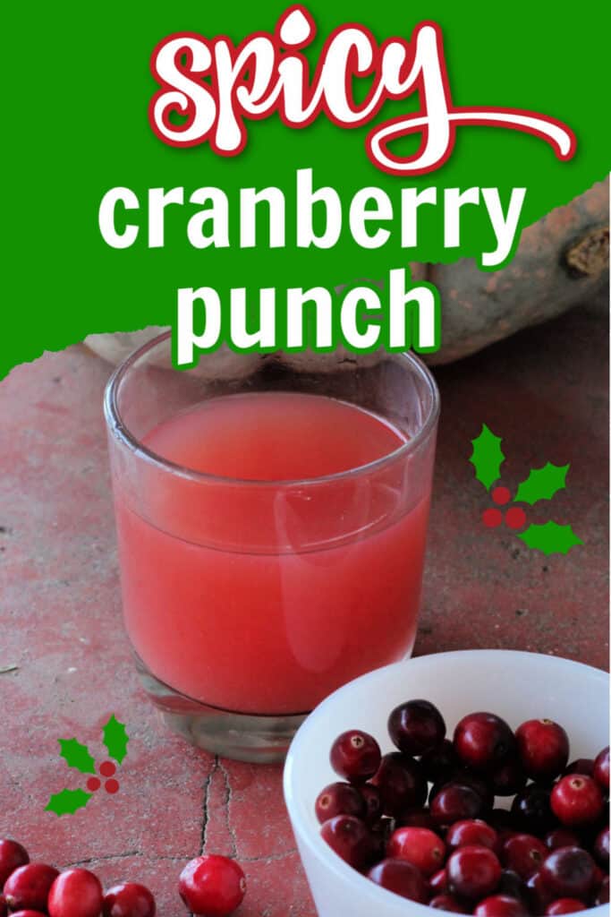 Easy spicy cranberry punch recipe for Christmas or the holidays.