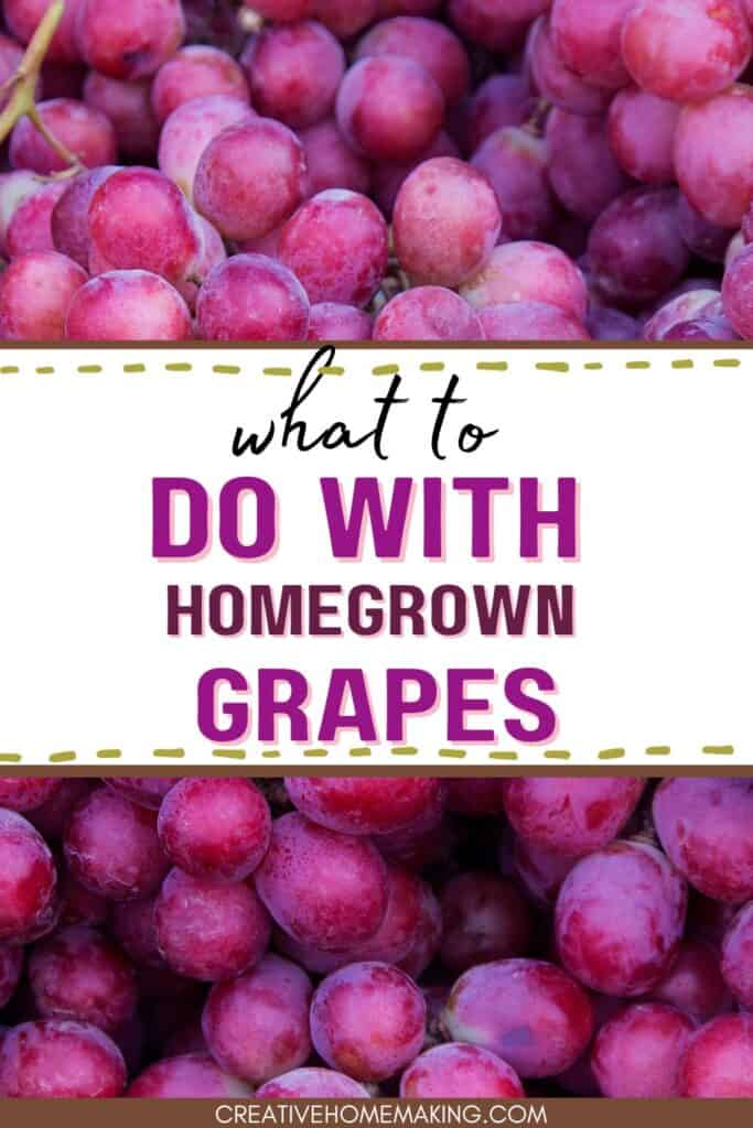 Got a bumper crop of homegrown grapes? Don't let them go to waste! From homemade grape juice and jelly to salads, desserts, and even savory dishes, there are plenty of creative ways to use your harvest. Check out these tasty ideas and recipes for inspiration on how to make the most of your homegrown grapes. Whether you have a few vines or a whole vineyard, you're sure to find something delicious to do with your grapes!