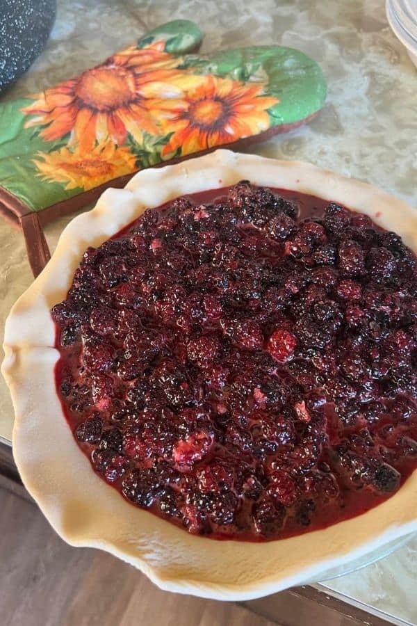 fresh blackberry pie