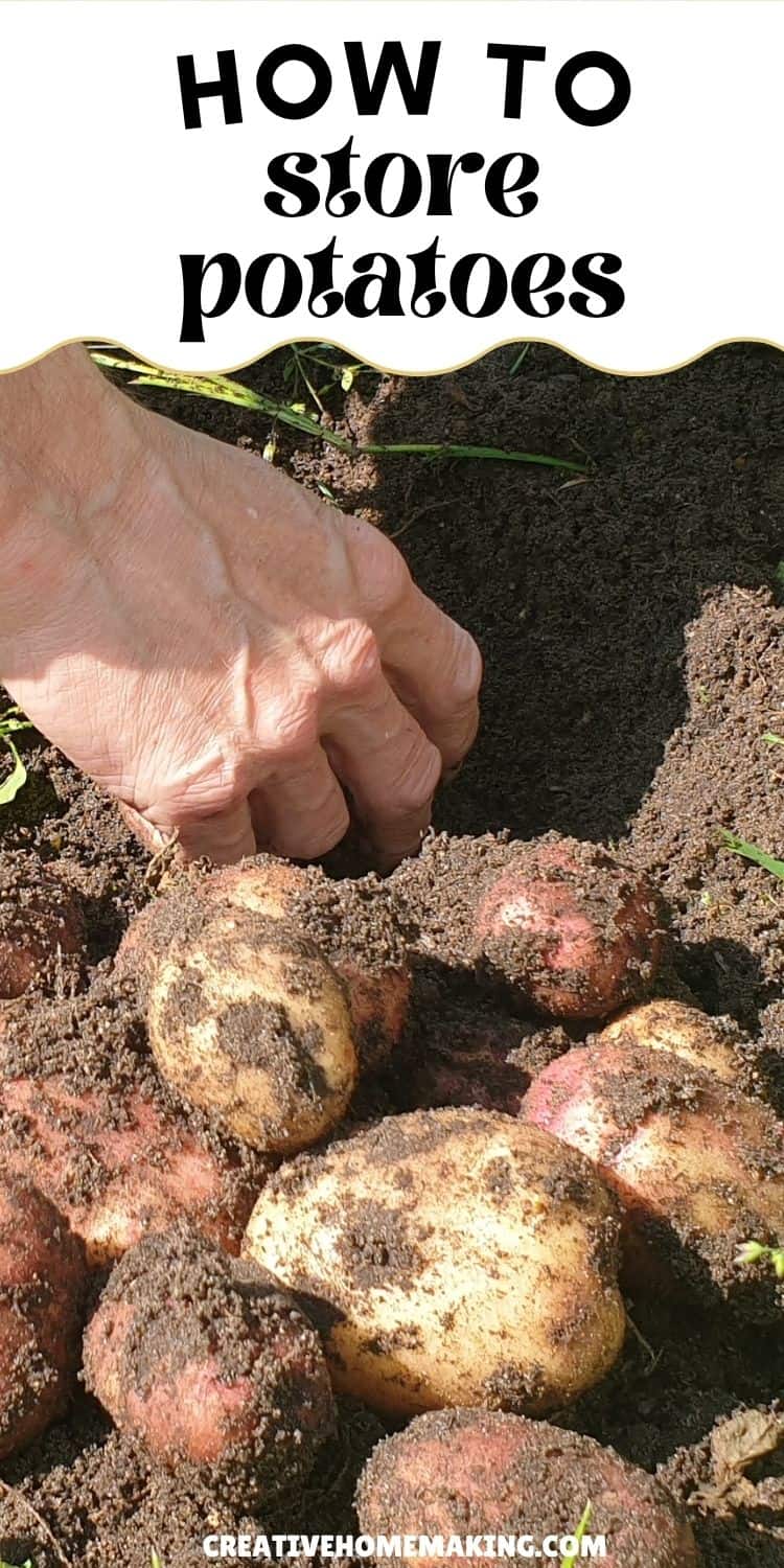Discover simple and effective ways to store potatoes to prevent sprouting and spoilage. Keep your potatoes fresh and ready for cooking anytime!