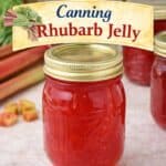 Turn fresh rhubarb into sweet homemade jelly with this simple step-by-step recipe. Great for beginner canners and perfect for stocking your pantry with jars of spring flavor.