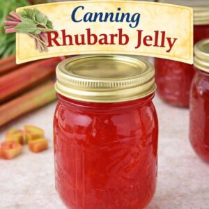 Turn fresh rhubarb into sweet homemade jelly with this simple step-by-step recipe. Great for beginner canners and perfect for stocking your pantry with jars of spring flavor.