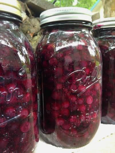 Easy recipe for canning blueberry pie filling.