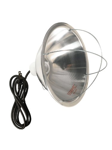 Woods 0165 Brooder Lamp With Bulb Guard,10.5 Inch Reflector And 6 Foot Cord (250 Watt, 18/2 SJTW)