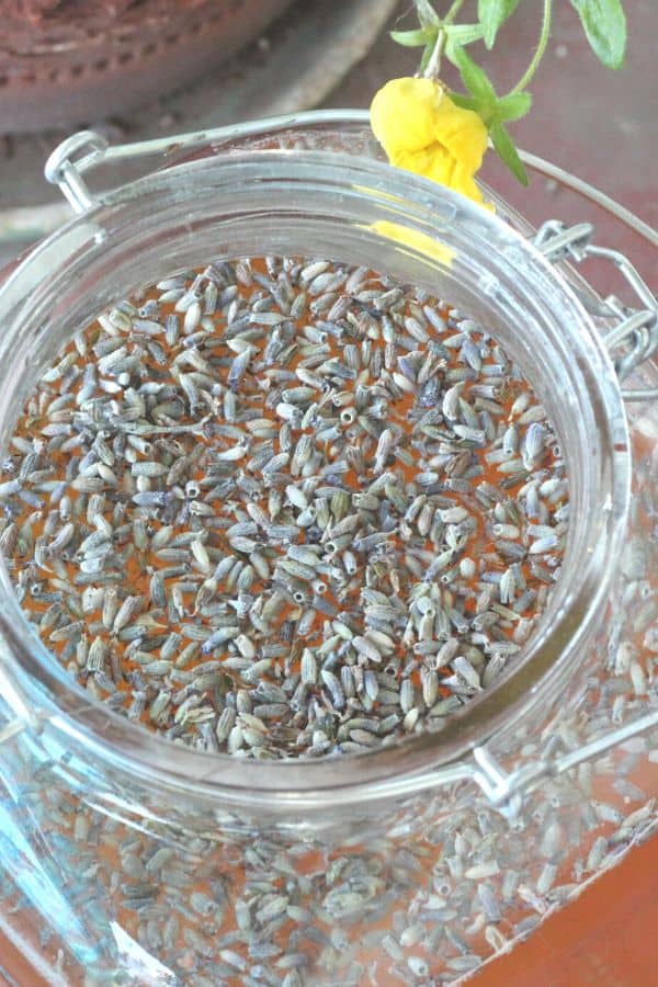 Easy recipe for lavender lemonade kombucha, one my favorite lavender drink recipes!