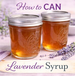 Learn how to can lavender syrup for long-term storage. Perfect for summer drinks, tea party recipes, and adding to your pretty brunch ideas.