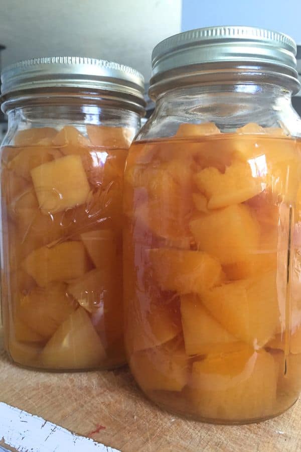Easy step by step recipe for canning winter squash in a pressure canner. Easy recipe for beginning homesteading.