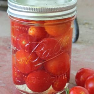 My favorite tomato recipes for canning. Pizza sauce, barbecue sauce, the best salsa recipe, pickled cherry tomatoes, and more.