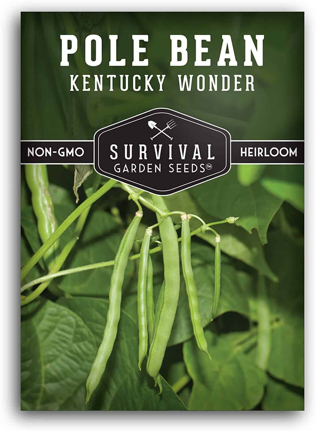 Kentucky Wonder Pole Bean Seed for Planting