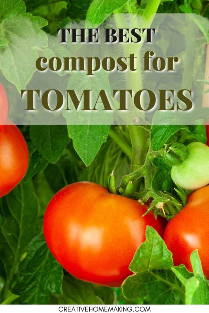 The best compost for growing big tomatoes. Homemade compost vs. store bought compost.