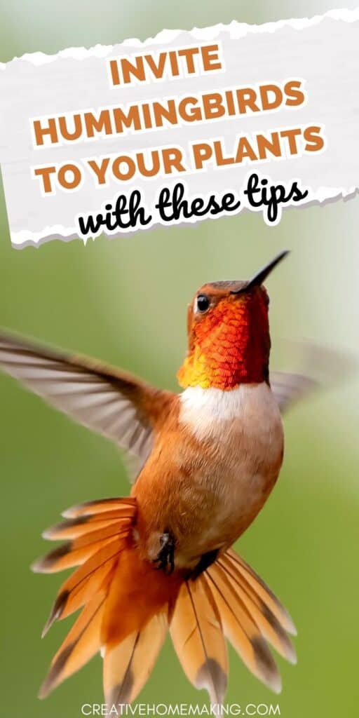 Invite hummingbirds to your garden with these flowers, shrubs, and trees.