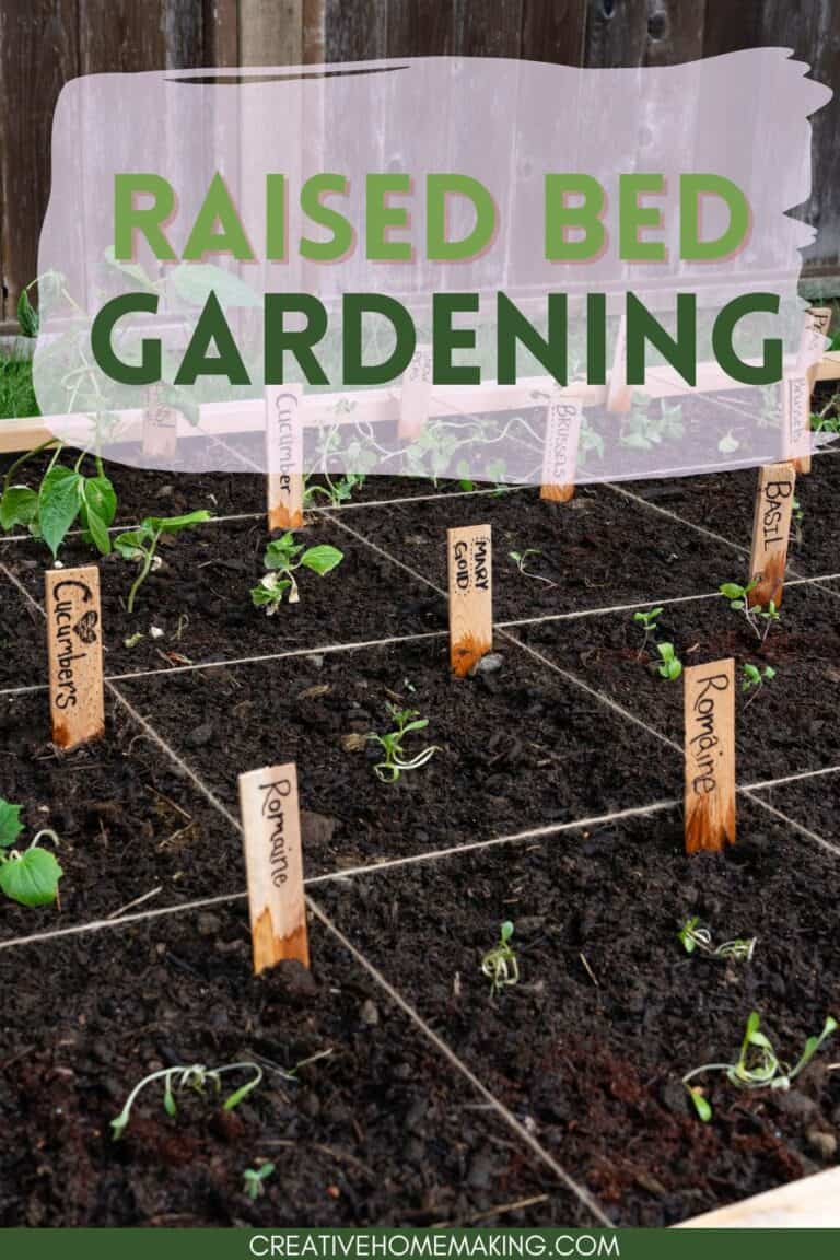 Bush Beans Square Foot Gardening Maximize Your Harvest with Ease Creative Homemaking