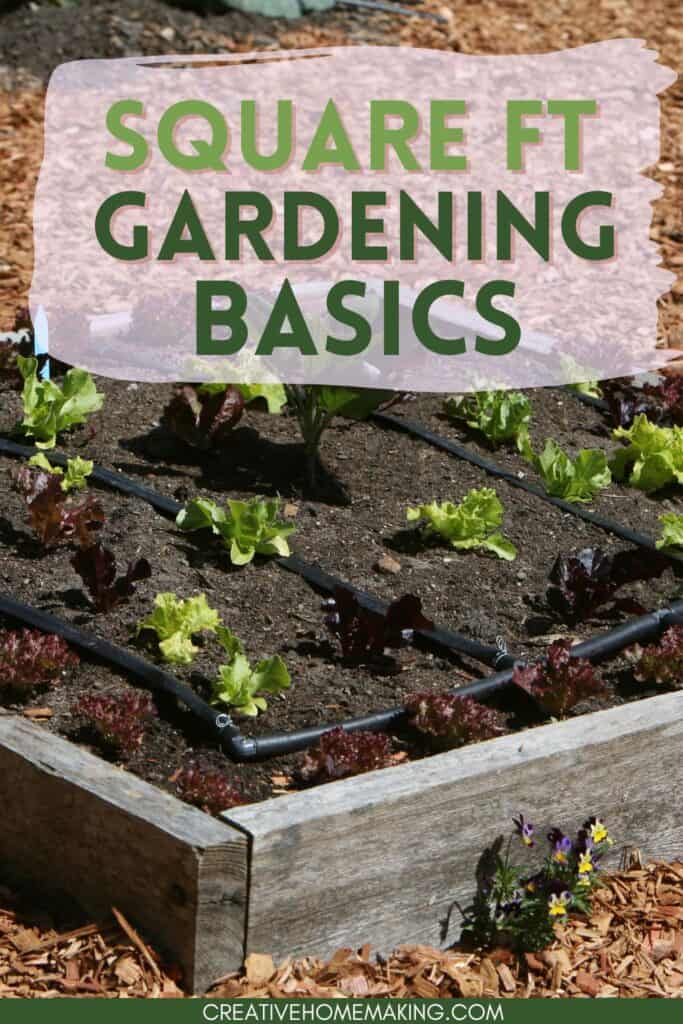 Square foot gardening basics. Maximize your bush bean harvest in a small space with square foot gardening. 