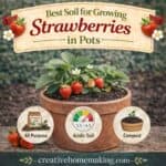 Not sure what soil to use for strawberries in pots? This guide covers the best soil mix, pH, and tips for growing strawberries in containers.