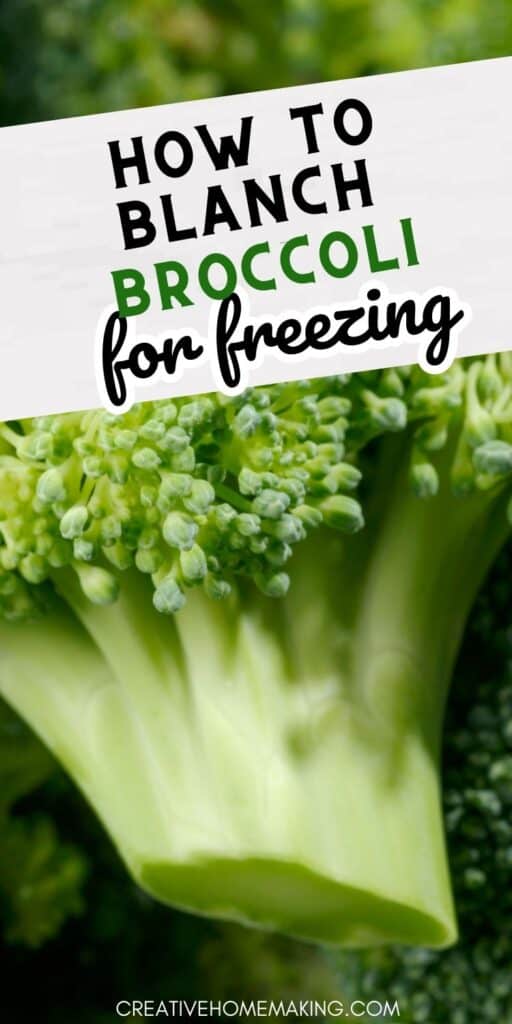 Broccoli is a versatile and healthy vegetable that can be enjoyed in many different ways. If you want to learn how to cook broccoli perfectly, blanching is the way to go! Our easy-to-follow guide will show you how to blanch broccoli to perfection, so you can enjoy its bright color, tender texture, and delicious flavor. Try it today!