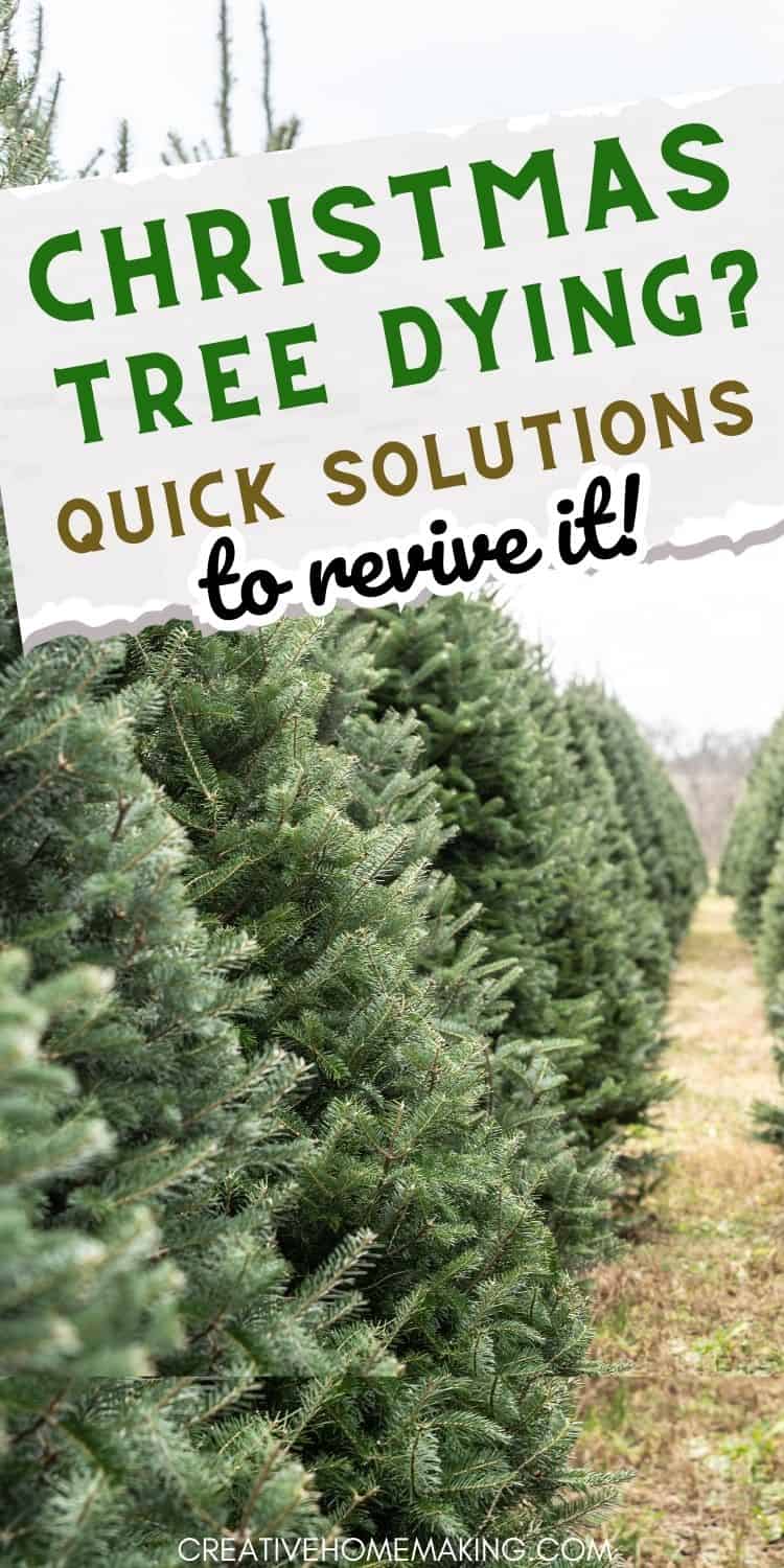 Christmas Tree is Dying Quick Solutions to Revive It Creative Homemaking