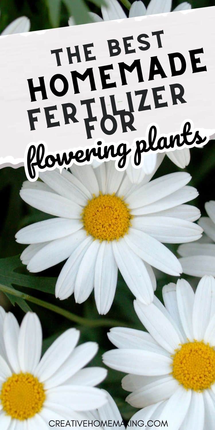 The Best Homemade Fertilizer for Flowering Plants Creative Homemaking