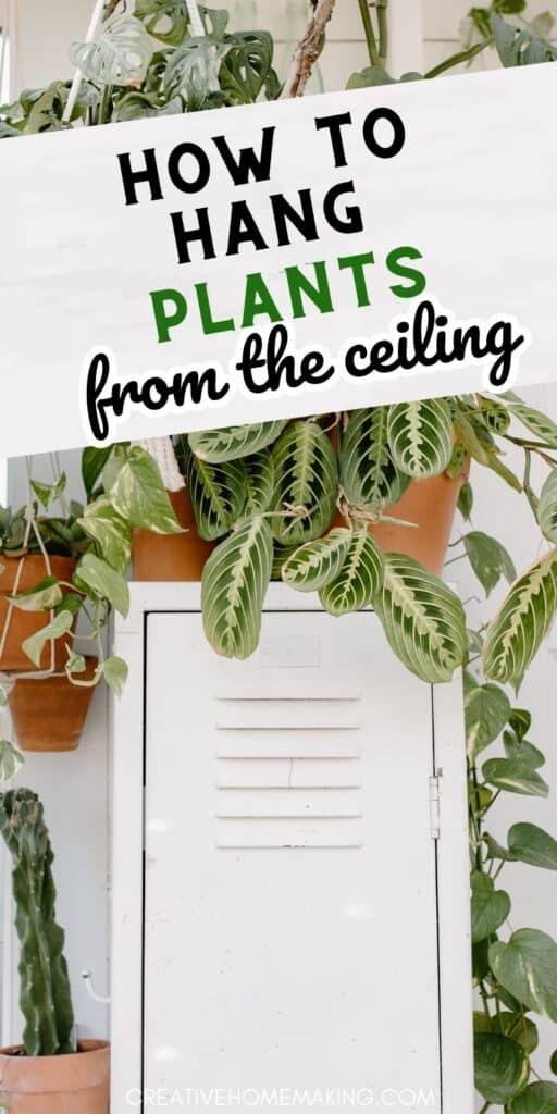 Bring the beauty of nature indoors with gorgeous hanging plants. Whether you're looking to add some greenery to your living room or create a stunning focal point in your bedroom, these creative ideas for hanging plants from the ceiling are sure to inspire.