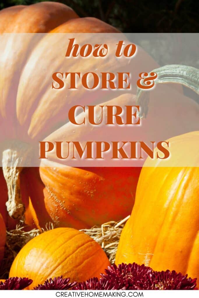 How to store and cure pumpkins. Tips for growing pumpkins in your garden.
