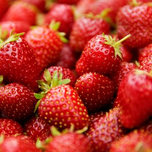Get ready to grow the sweetest strawberries ever with our guide to the best soil for container-grown strawberries! Discover the perfect soil mix for your pots and enjoy a bountiful harvest of juicy, delicious fruit. Pin it now to save for later!