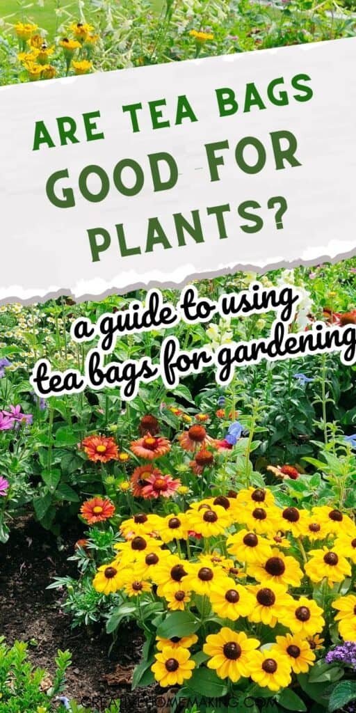 Elevate your gardening game with these amazing tea bag hacks! Discover the many benefits of using tea bags in your garden, from improving soil quality to repelling pests. Learn how to use tea bags effectively in your garden and watch your plants thrive. Check out our expert tips and get ready to enjoy a healthy and beautiful garden!