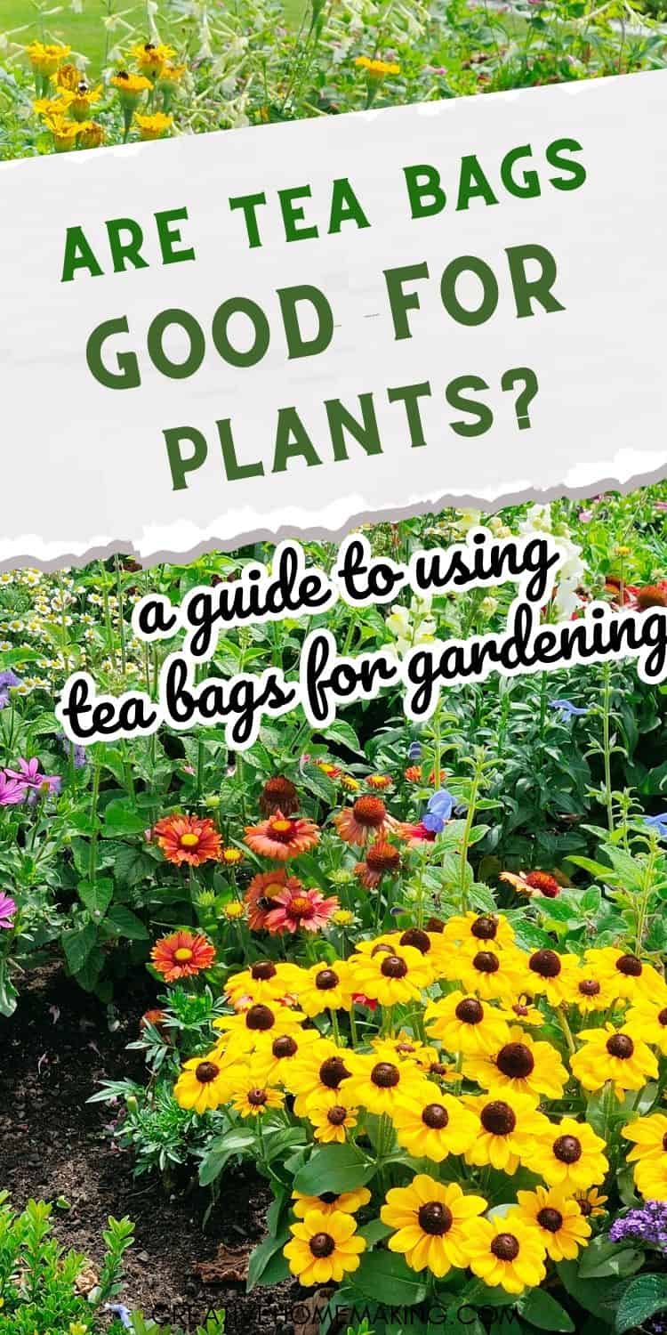 are-tea-bags-good-for-plants-a-guide-to-using-tea-bags-for-gardening