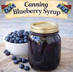 Learn how to make homemade blueberry syrup and preserve it with this easy canning recipe. Perfect for pancakes, waffles, cheesecake, ice cream, drinks, and gift giving. Simple step-by-step instructions for beginners.