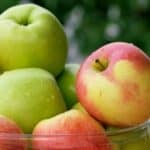 Love the taste of fresh apples in the fall? Our collection of 6 irresistible apple recipes has something for everyone! From classic apple pies and crumbles to unique dishes like apple-stuffed pork chops and apple and brie grilled cheese sandwiches, these recipes will satisfy your cravings for all things apple.