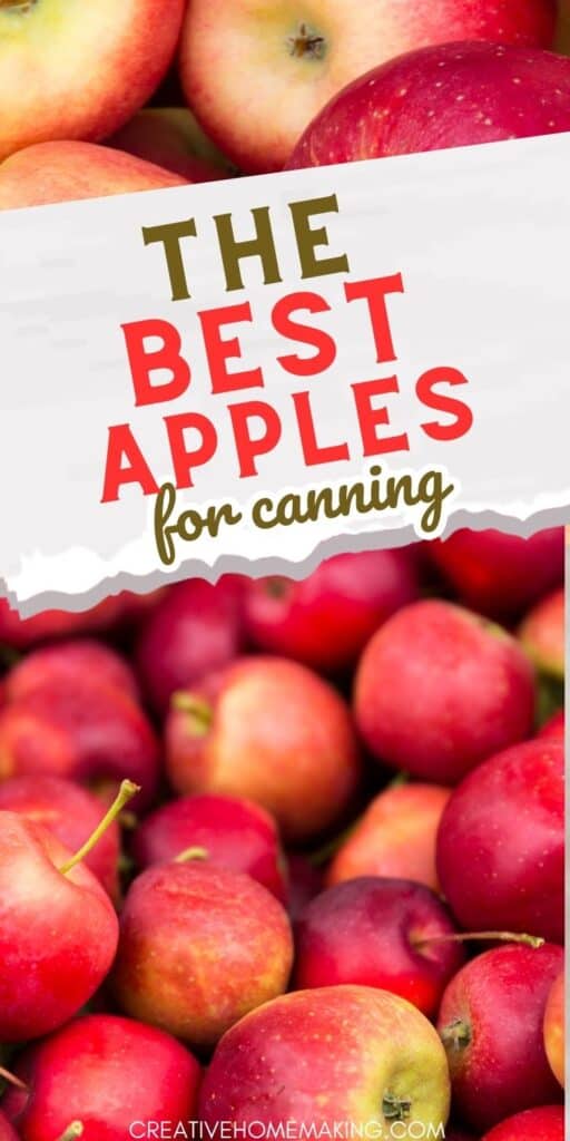 Get ready for fall with our guide to the best apples for canning! Whether you're a seasoned pro or a beginner, our tips and tricks will help you create delicious homemade treats that will last all year long. #fallrecipes #canning #apples #homemade