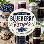 Looking for delicious ways to use fresh blueberries? This collection includes blueberry jam, baked treats, and pantry favorites that are perfect for canning, preserving, and from-scratch cooking. Save these easy recipes for blueberry season!