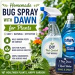 Learn how to make an easy homemade garden insect spray using Dawn dish soap and water. This simple DIY garden bug spray is a natural bug repellent for garden pests and works well as a homemade bug spray for plants and roses.