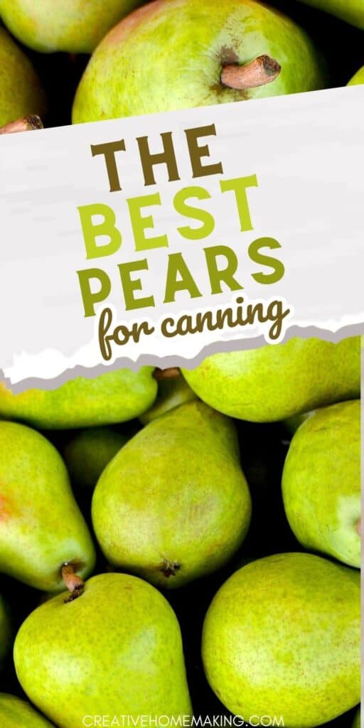 Ready to take your canning game to the next level? Look no further than our guide to the best pears for canning! Whether you prefer sweet, juicy Bartletts or firm, flavorful Boscs, we'll show you how to choose the perfect pears for preserving in jars.