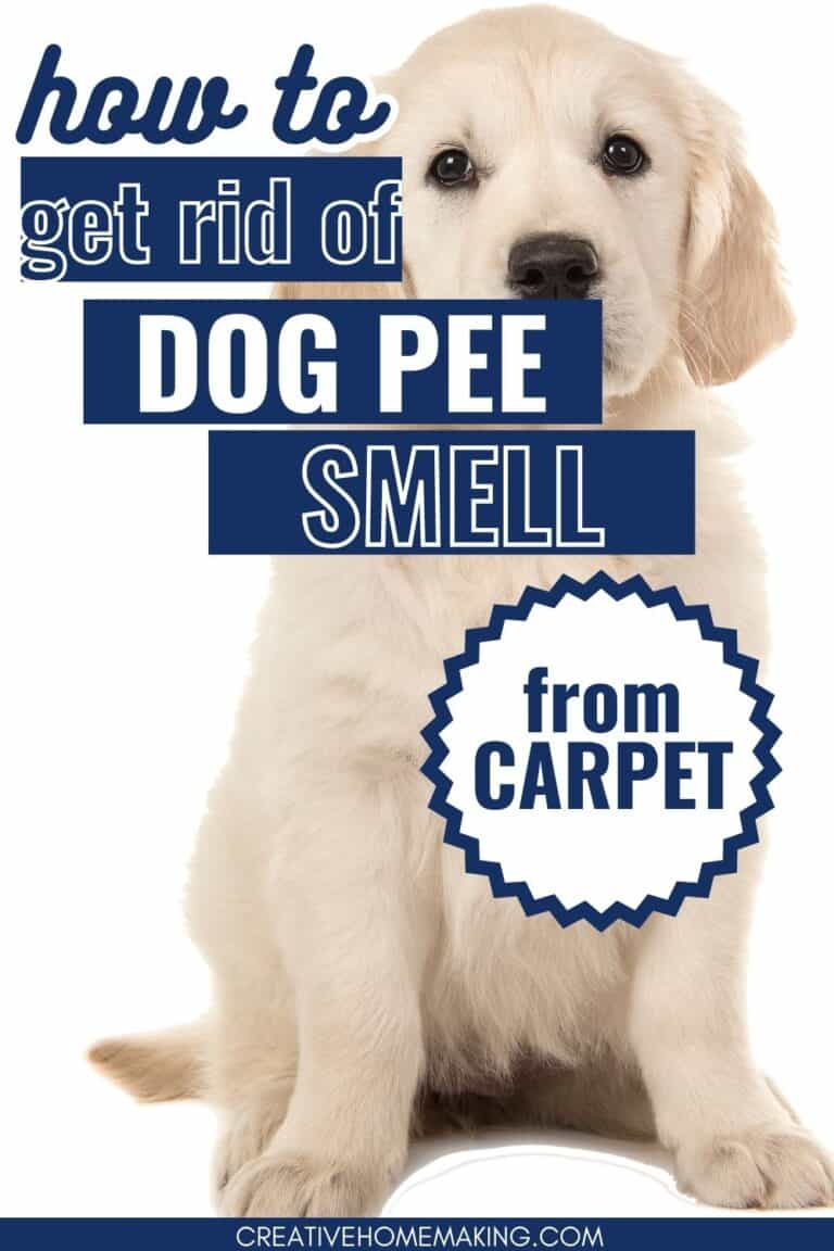 Say Goodbye to Dog Pee Smell in Carpet Easy Tips and Tricks Creative Homemaking