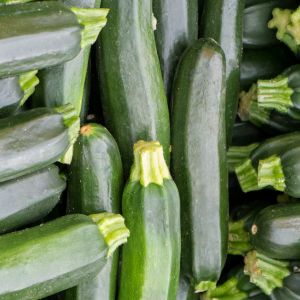 Don't let your excess zucchini go to waste! Learn how to freeze shredded zucchini and have it on hand for all your favorite recipes. Our simple guide makes freezing zucchini a breeze!