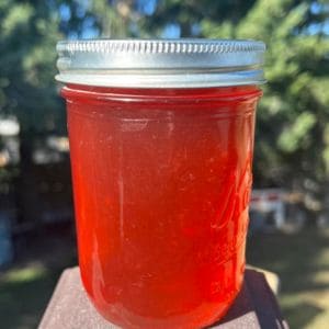 Love peaches? Try making your own peach jelly at home with this easy recipe! All you need is fresh peaches, sugar, and a few other ingredients to create a sweet and fruity spread that's perfect for breakfast or dessert.