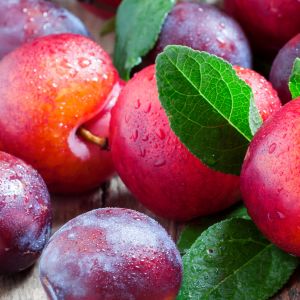 Want to enjoy perfectly ripe plums? Learn how to ripen plums quickly and easily with our step-by-step guide. From using brown paper bags to storing them with bananas, we'll show you the best ways to ripen plums at home.