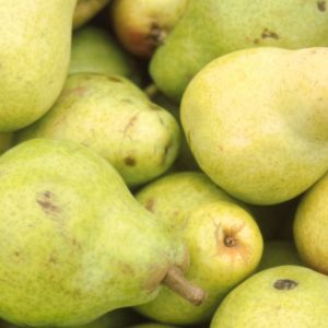 Elevate your baking game with the best pears for baking! From classic varieties like Bartlett and Anjou to unique options like Bosc and Comice, we've got all the recommendations you need to create delicious pear desserts.