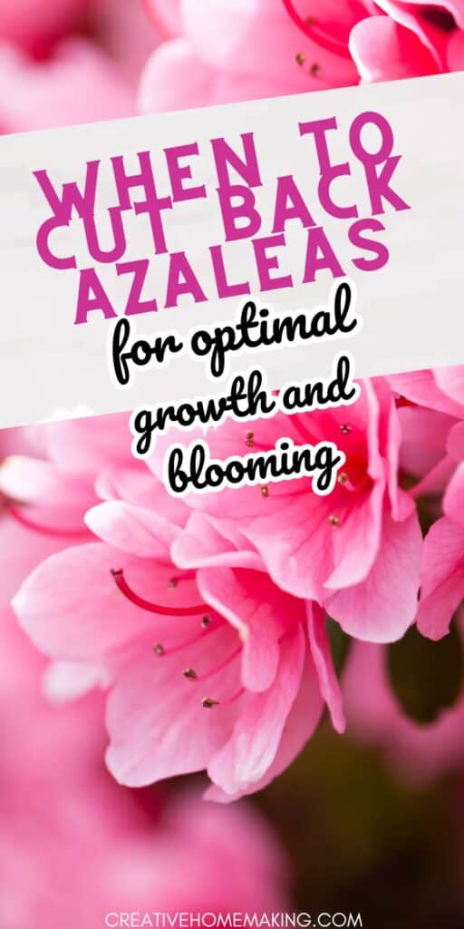 Transform your garden with our expert tips for cutting back azaleas. Pruning techniques, as well as creative ideas for incorporating azaleas into your landscape design. From vibrant blooms to unique varieties, inspiration for any azalea enthusiast.