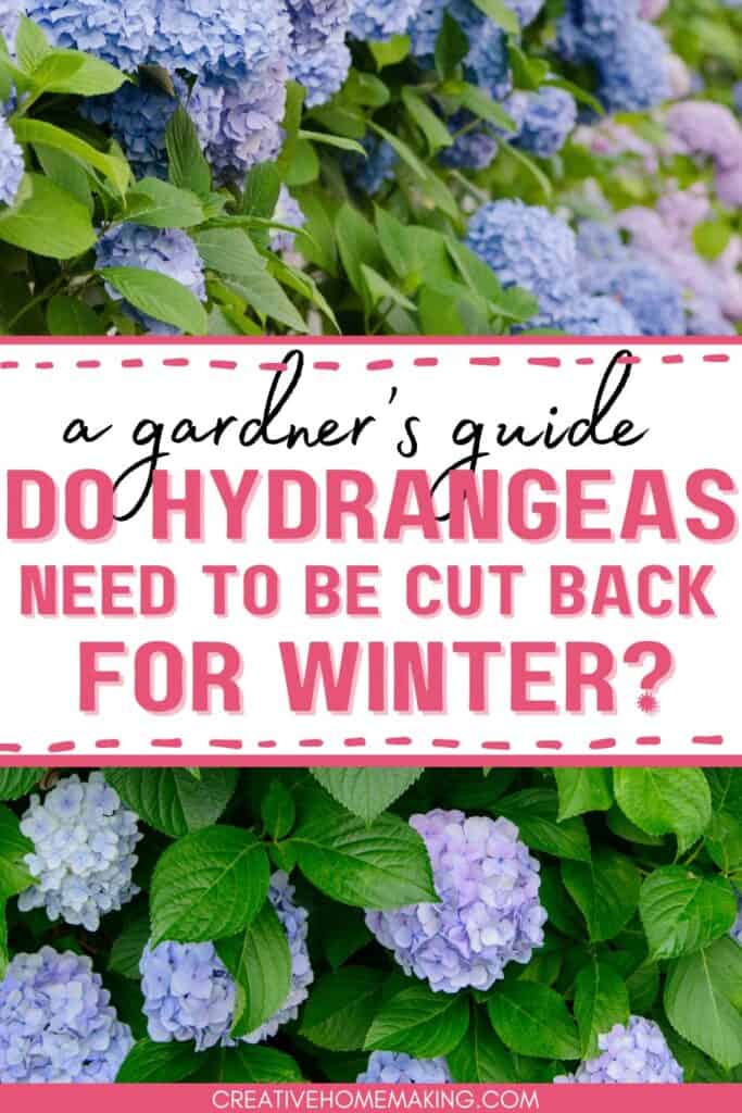 Wondering if you should prune your hydrangeas for winter? Our article has the answers you need! Discover the best techniques for cutting back your plants and protecting them from winter damage. Follow our tips to ensure healthy, vibrant hydrangeas all year round.