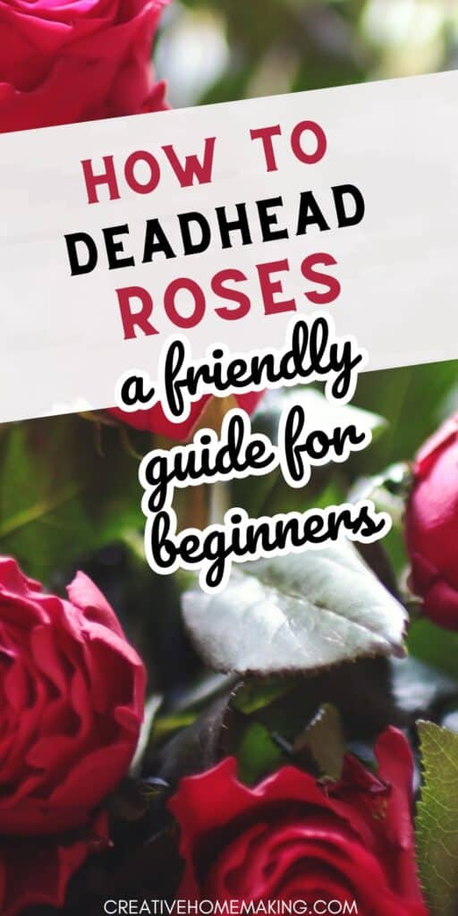 Deadheading roses is a simple but essential task for any gardener. Our expert guide will show you how to do it right, so your roses stay healthy and beautiful. From choosing the right tools to finding the right time to deadhead, our guide covers everything you need to know. Follow our tips and enjoy a summer filled with stunning, fragrant roses.