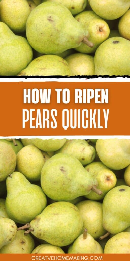 Don't want to wait days or weeks for your pears to ripen naturally? No problem! With these fast and easy techniques, you can speed up the ripening process and enjoy perfectly ripe pears in just a few days. Whether you're baking with pears or just want a healthy snack, these tips will help you get the most out of your fruit. 