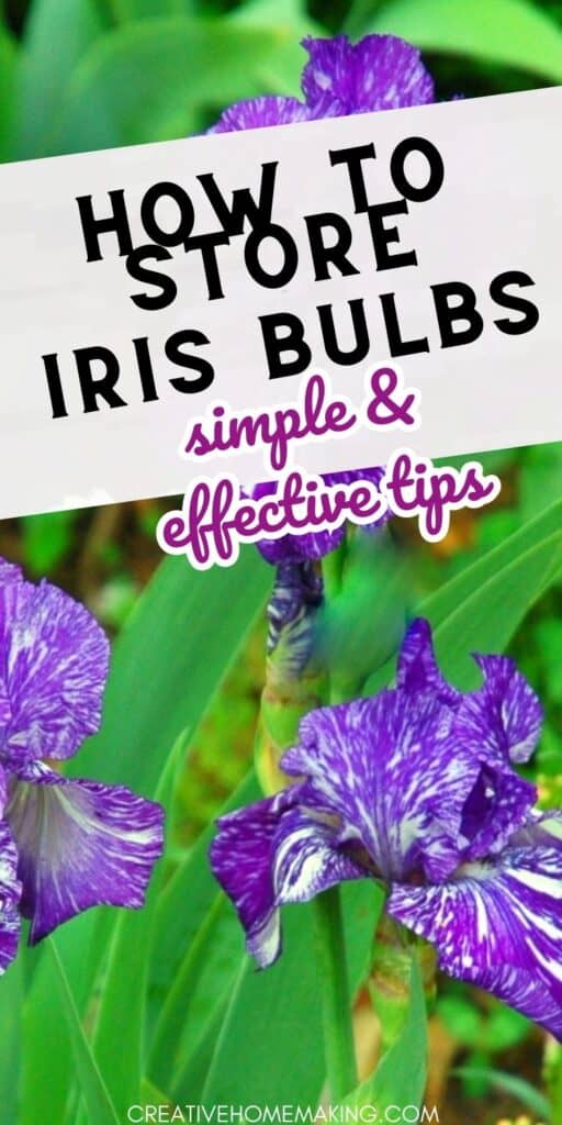Don't let your iris bulbs go to waste! Follow our step-by-step guide on how to store iris bulbs and keep them thriving. From drying to storage, we've got you covered. Pin now and enjoy a stunning display of irises come springtime!