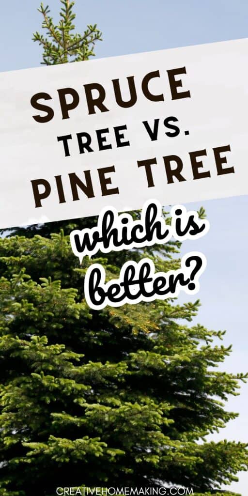 Looking for some inspiration for your next landscaping project? Check out our guide to spruce trees vs pine trees. Discover the unique features of these two popular tree options, including needle length, shape, and usage. Whether you're looking for a tree to add privacy to your yard or to enhance its beauty, this guide will help you choose the right one.