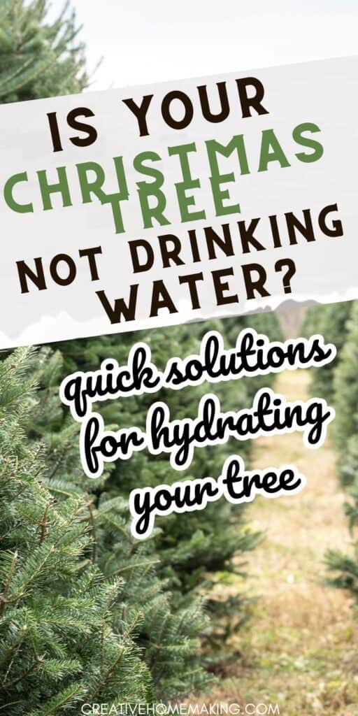 Don't let a dry Christmas tree ruin your holiday spirit! Why your tree may not be drinking water and how to fix it. Follow our simple tips to ensure a beautiful and healthy tree all season long. Pin now to save for later!